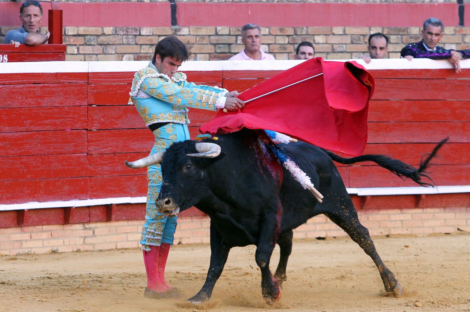Imágenes de la Novillada de Rafael Serna, Emilio Silvera y Rodrigo Molina.