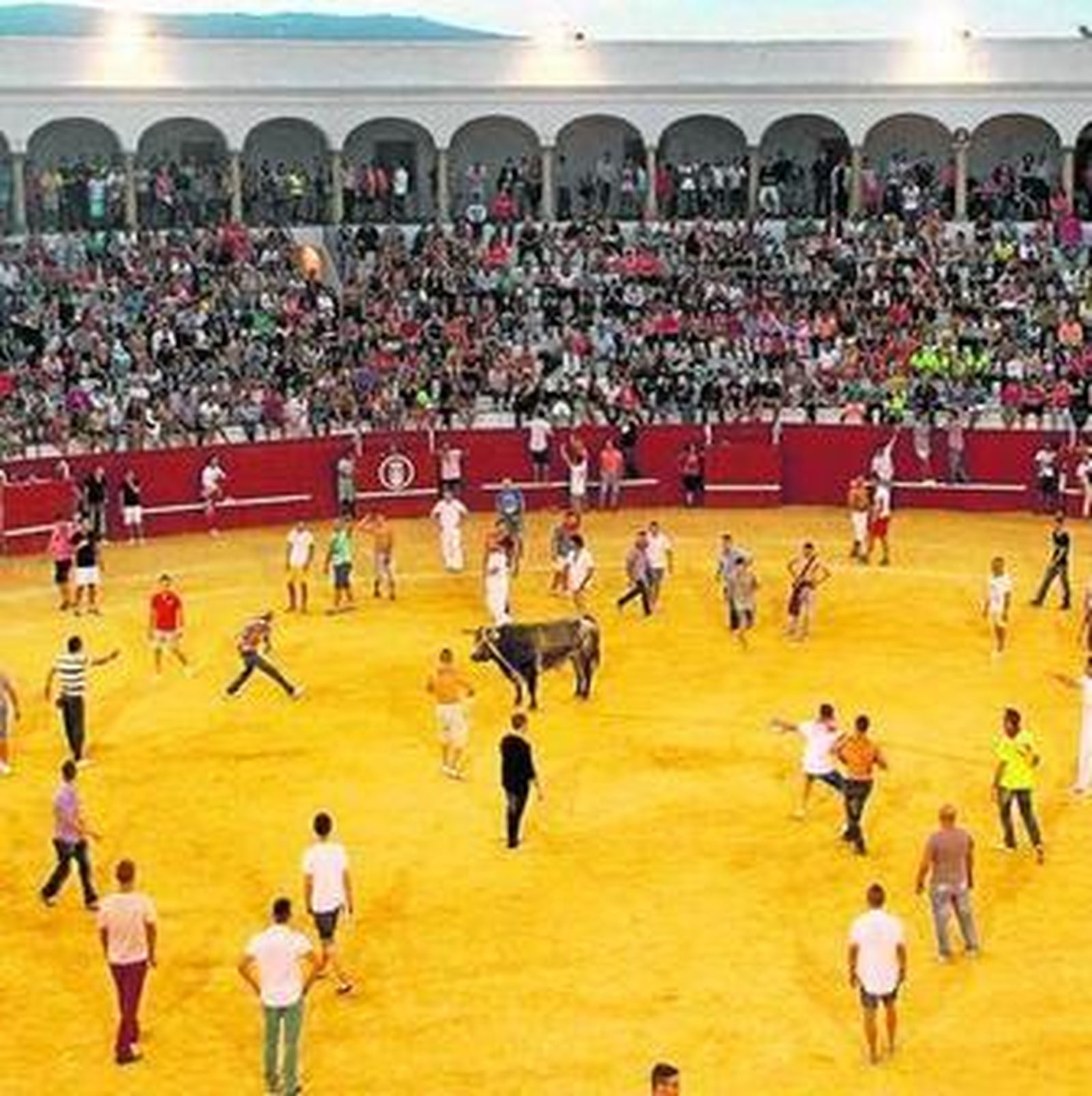 El Toro del Aguardiente del pasado año, en el coso sanroqueño.