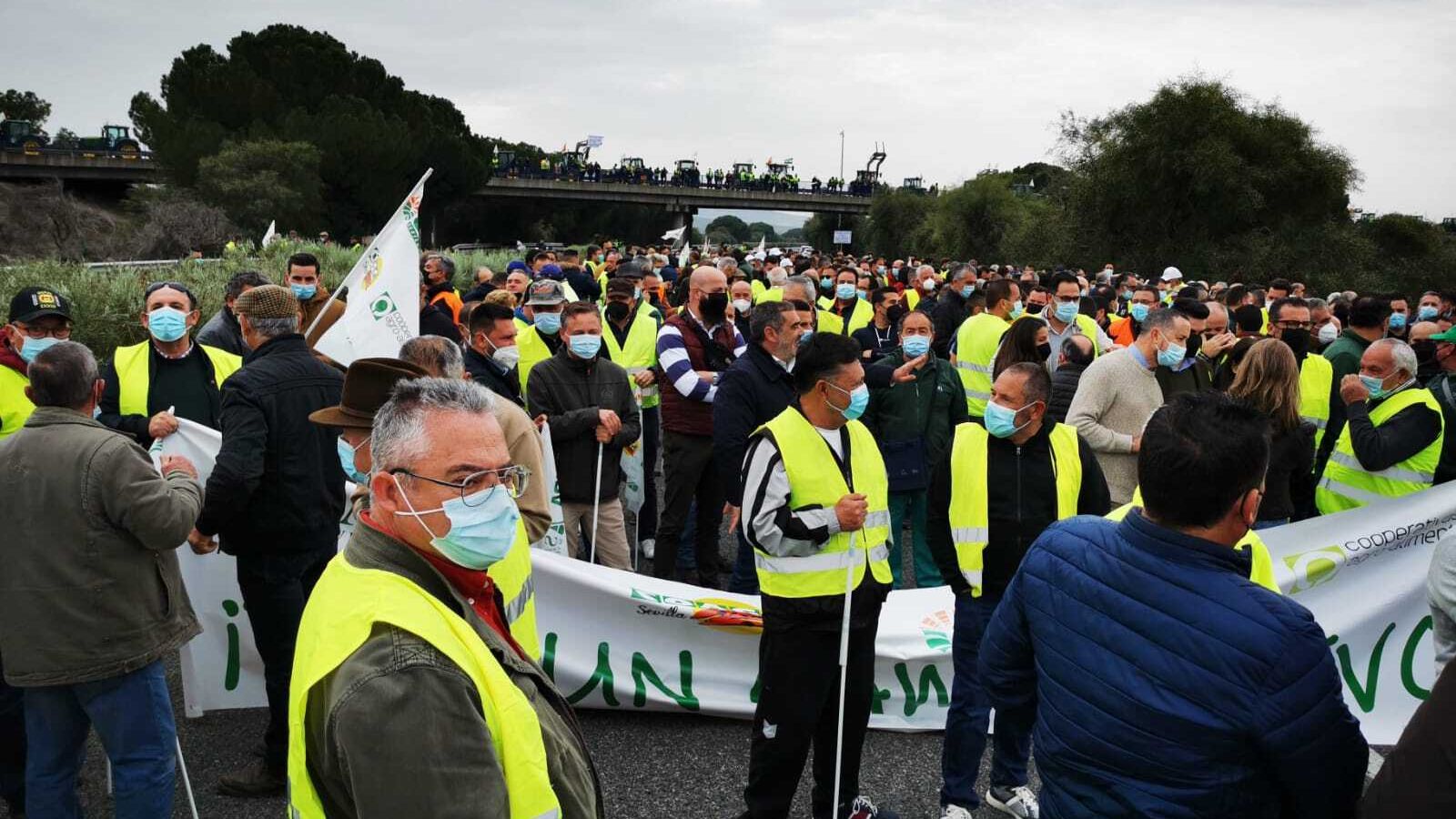 500 tractores y 4.000 agricultores participan en la tractorada según Asaja-Sevilla.
