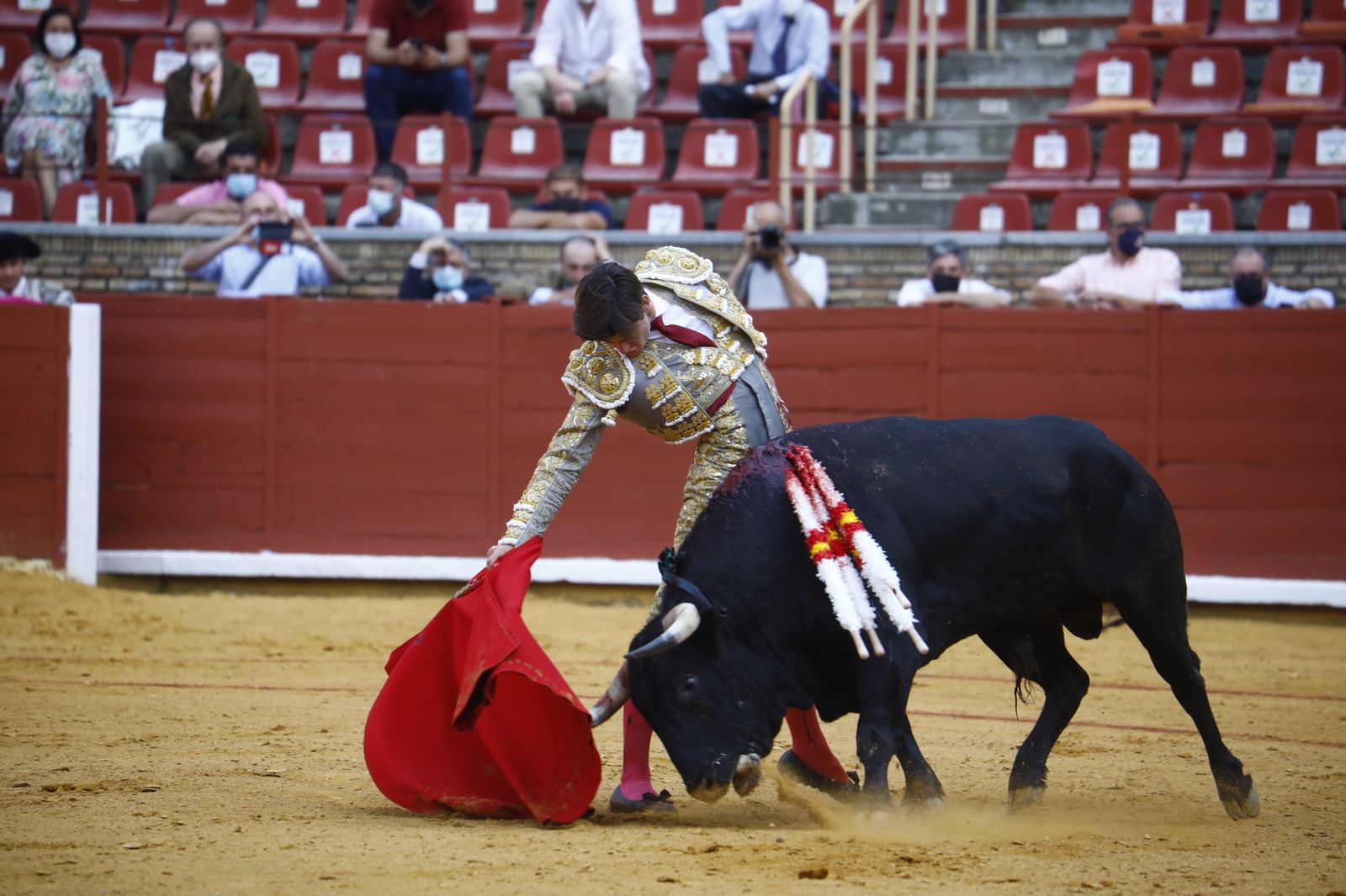 Las fotografías de la novillada con picadores de la Feria Taurina de Córdoba