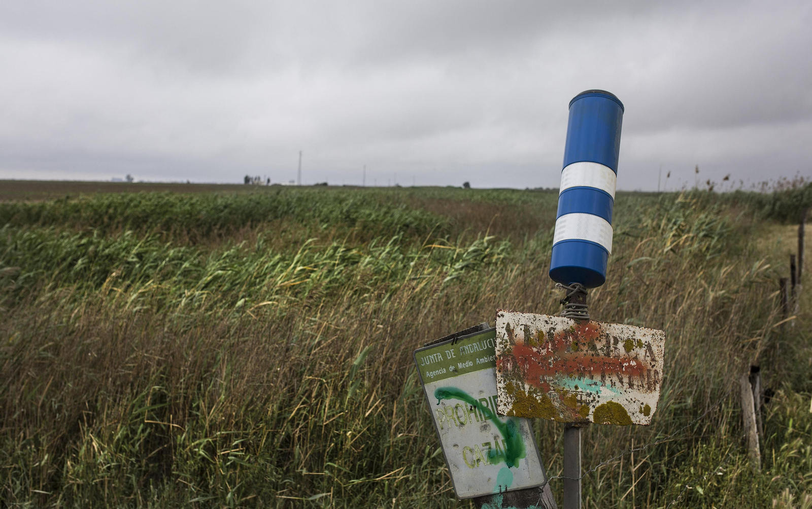 Marismas del Guadalquivir, un paisaje de cine