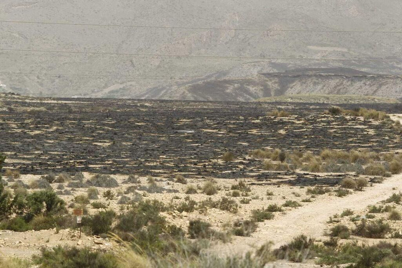 Así ha quedado la zona afectada por el incendio.