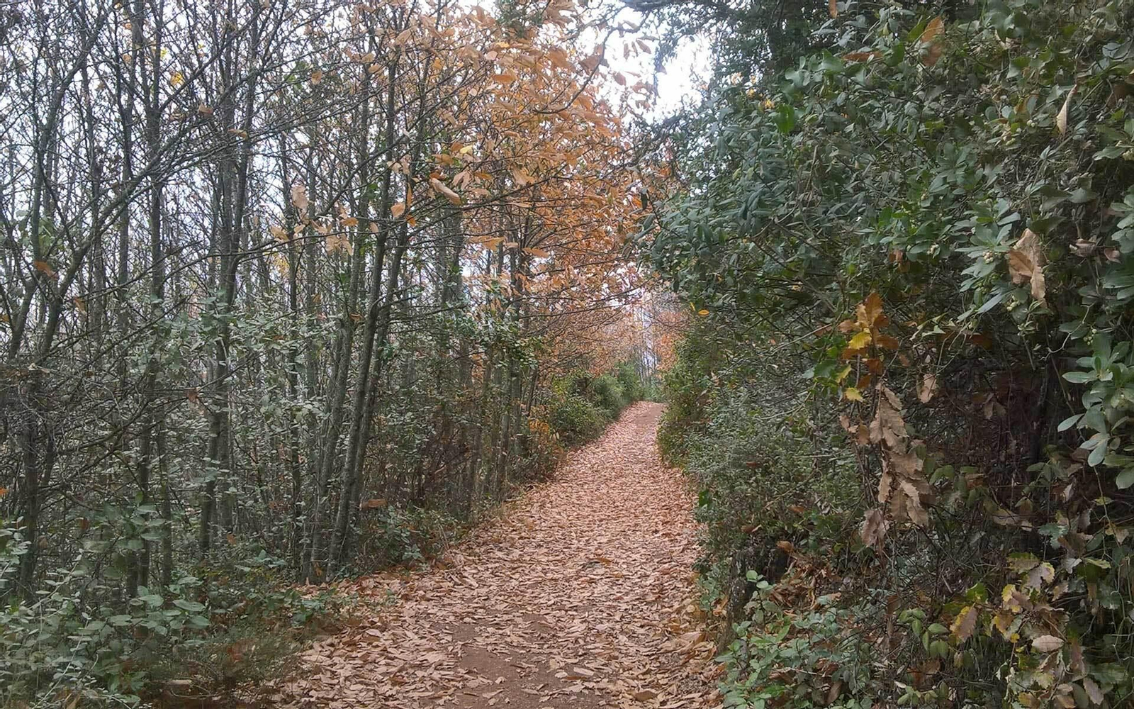 La provincia de Sevilla brinda bellas estampas en otoño