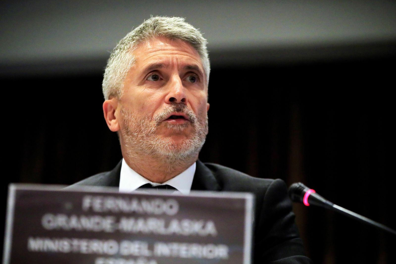 Fernando Grande-Marlaska.