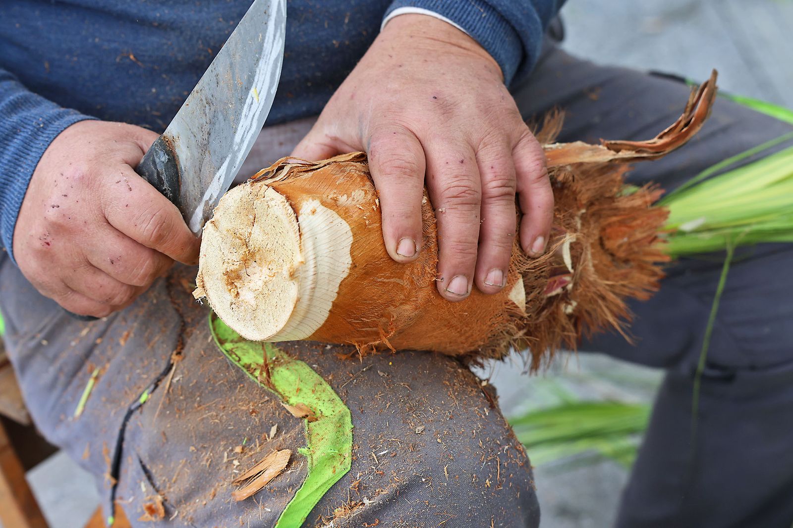 Las imágenes más destacadas del sábado 25 de enero en Huelva