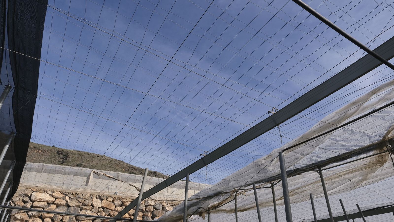 Los efectos del temporal de viento en los invernaderos, en imágenes