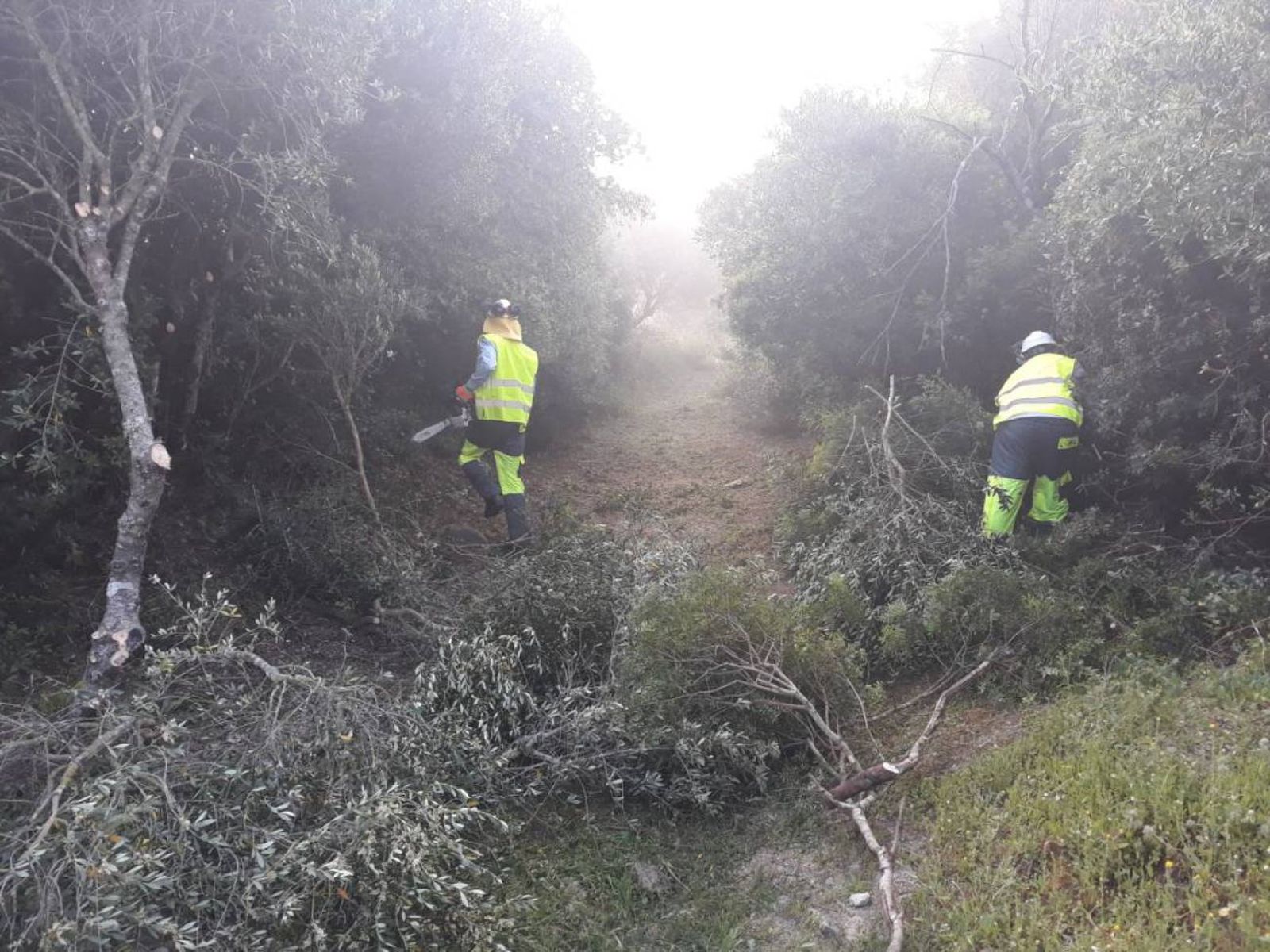 Dos operarios, en el Corredor