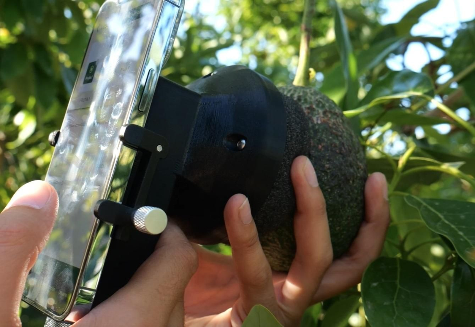 Imagen del sensor Evocato usado en las variedades de aguacate de Granada