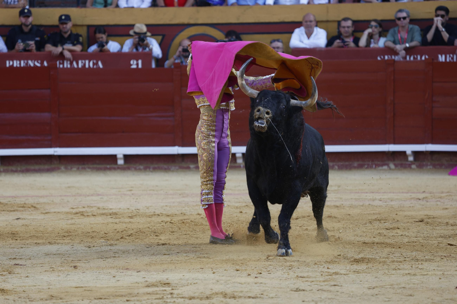 Fotos de Perera, Luque y Galván con toros de Fuente Ymbro en la primera corrida de la Feria de Algeciras 2025