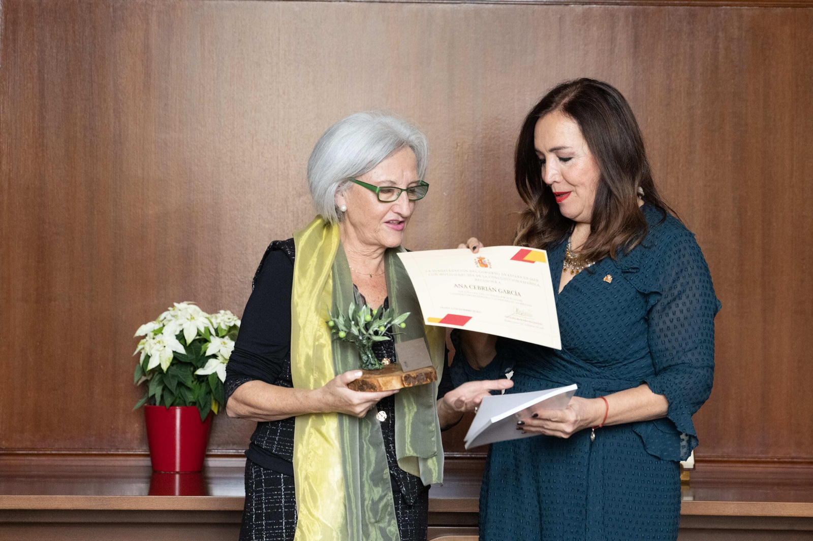 Día de la Constitución. Galardones conmemorativos