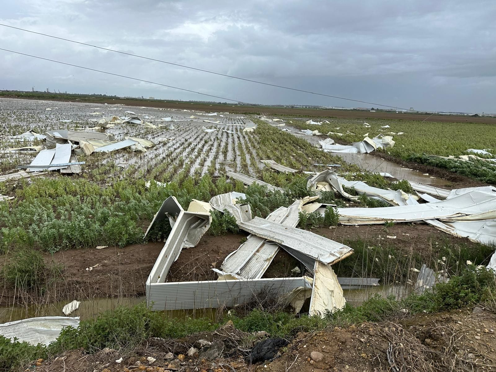 Las imágenes del derrumbe de una nave por el viento en Sevilla