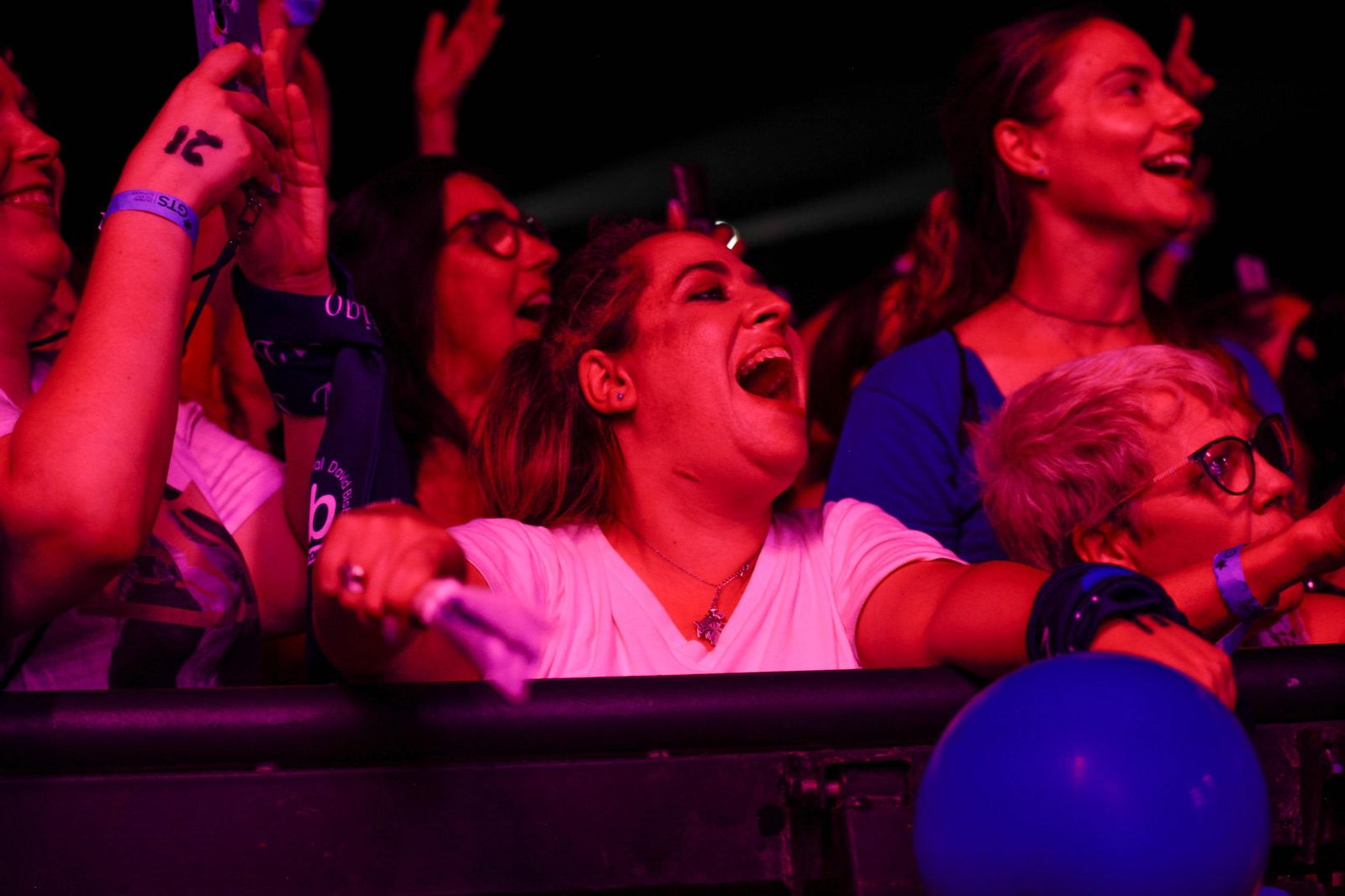 El concierto de David Bisbal, en imágenes