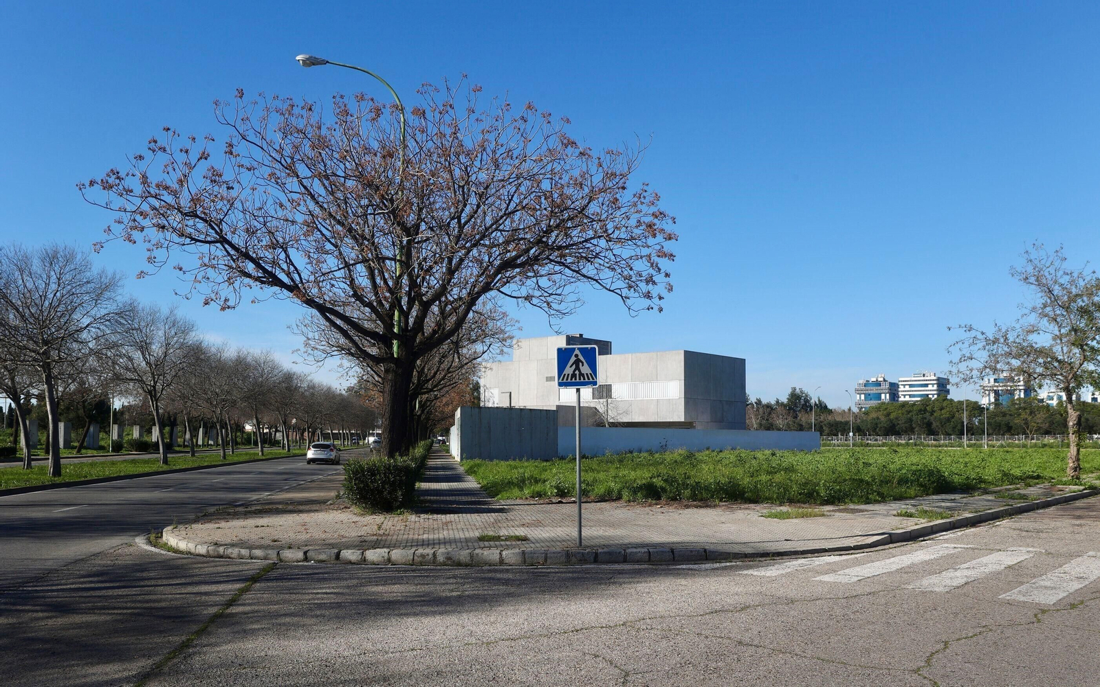 La parcela que se encuentra junto al Vacie cuenta con 4.000 metros cuadrados.