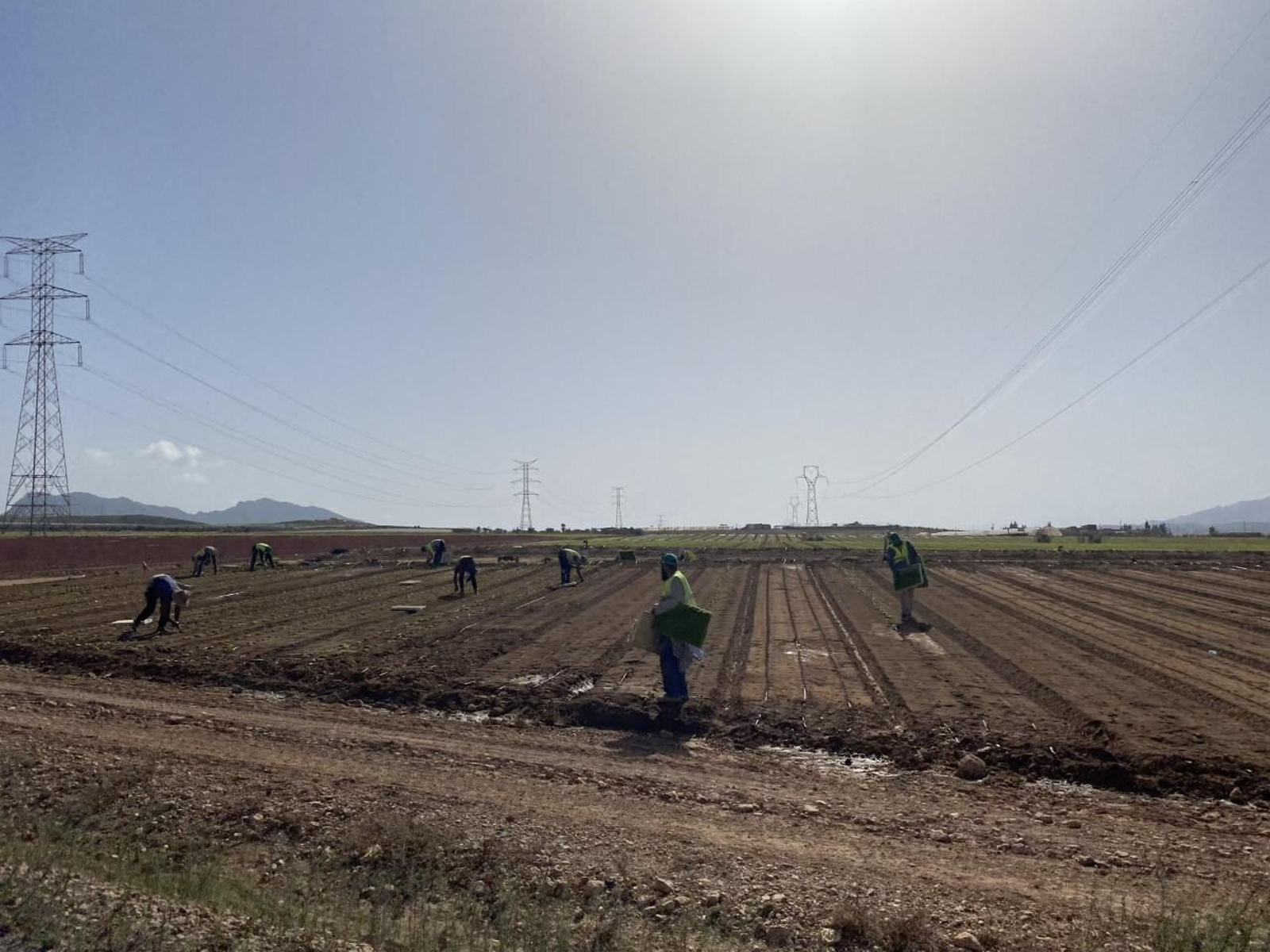Cultivos de la zona del levante almeriense. Muchos pueden sufrir otro revés importante si no llueve próximamente.