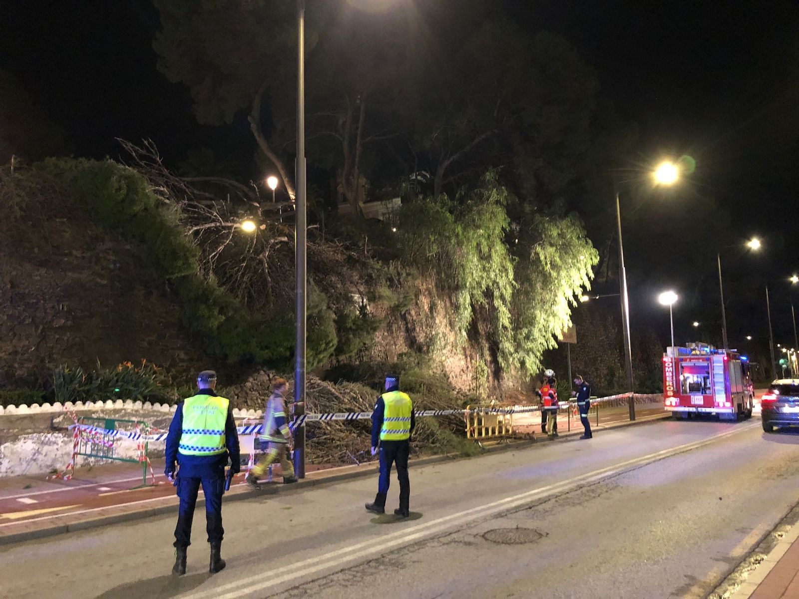 Cortada la Avenida Nuestra Señora de la Cabeza de Motril por la caída de un árbol de grandes dimensiones
