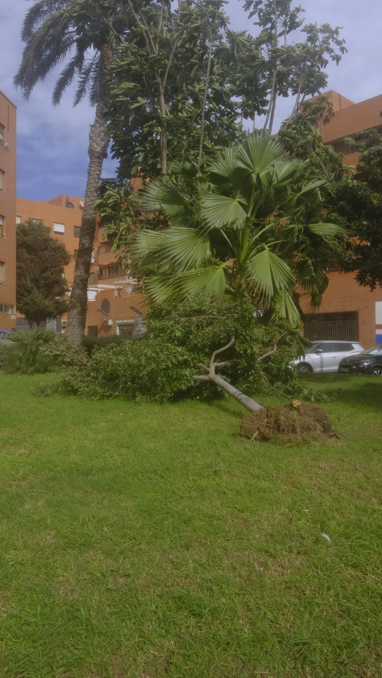 Imágenes del temporal de viento en Almería