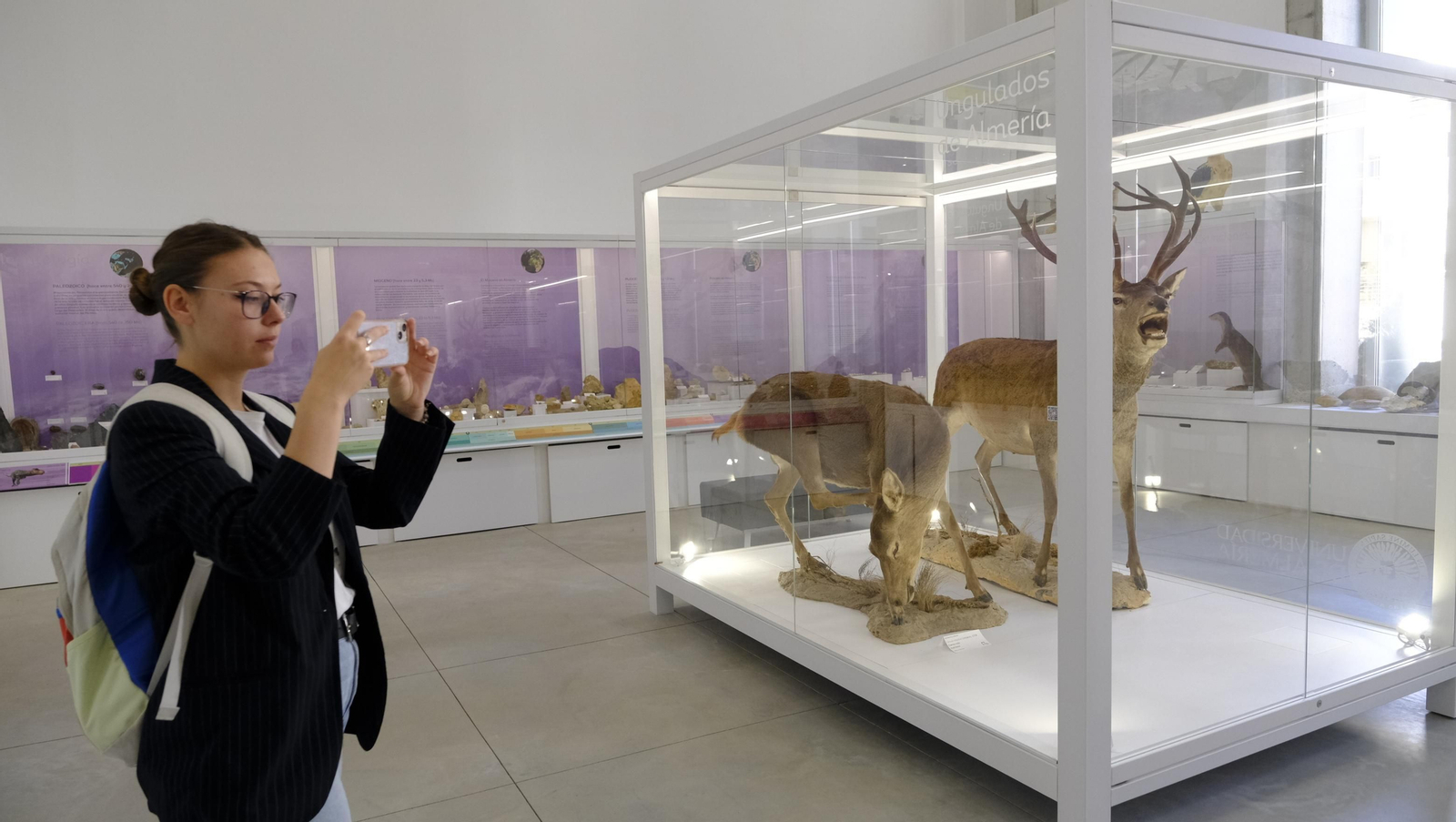 Descubre en estas fotos las maravillas que esconde el Pabellón de Historia Natural de la UAL