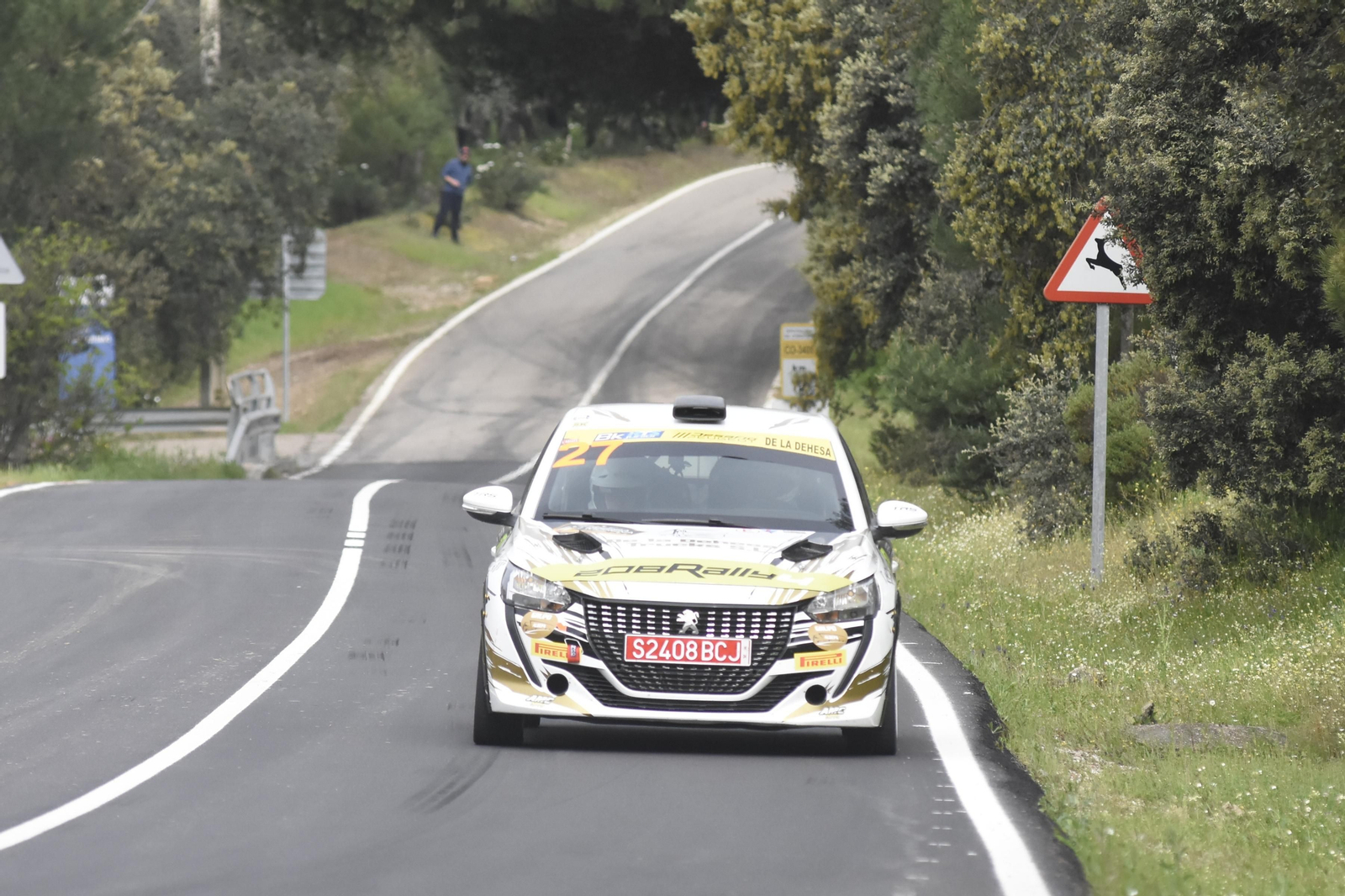 Las mejores fotos de la segunda jornada del Rallye Sierra Morena 2024 Las mejores fotos de la segunda jornada del Rallye Sierra Morena 2024