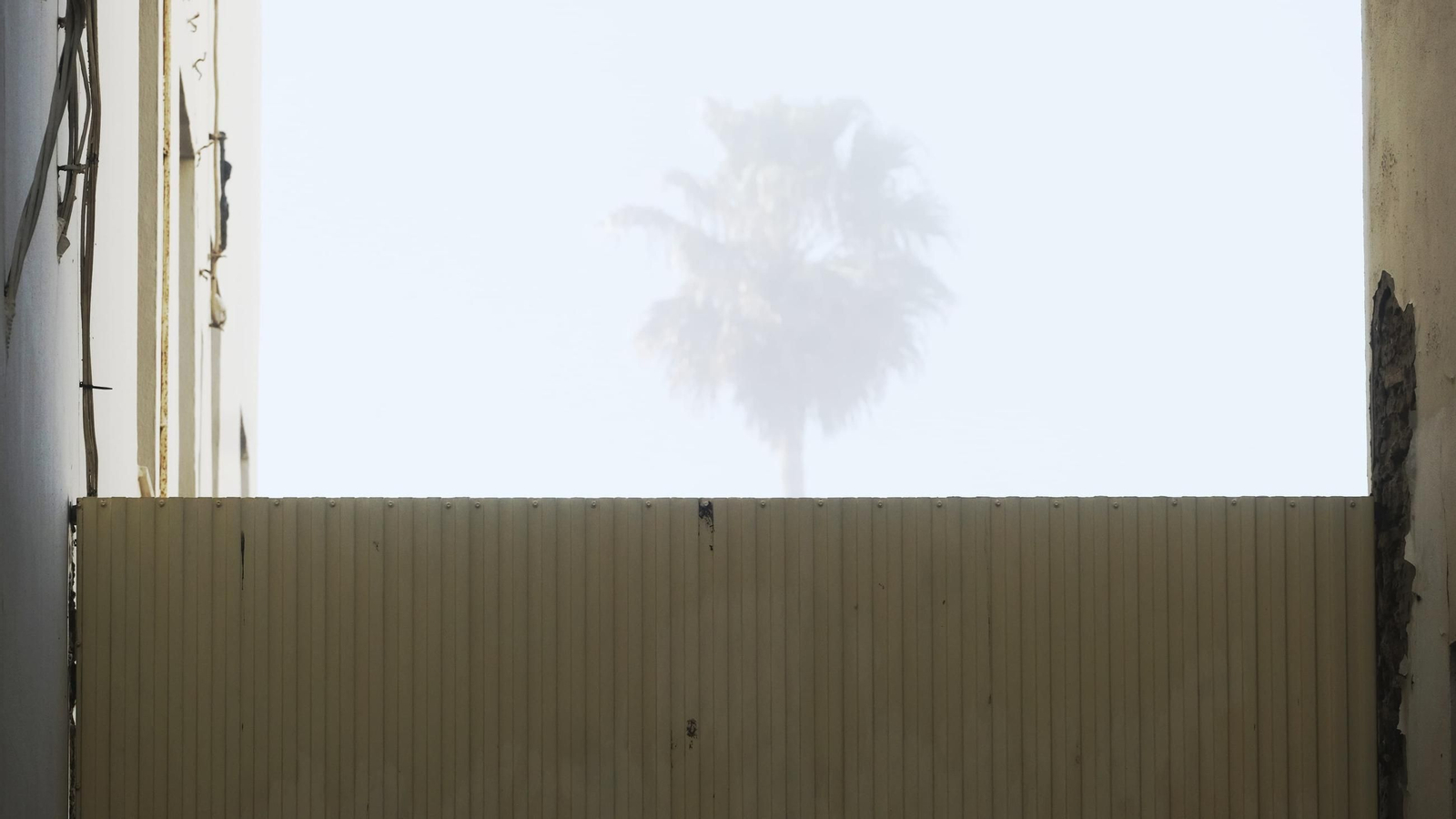 La niebla invade Cádiz