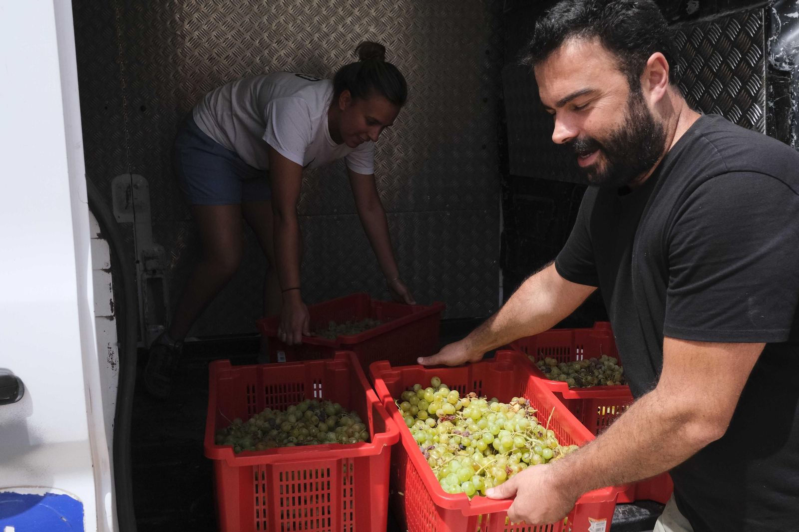 La vendimia de la Serranía de Ronda, en fotos.