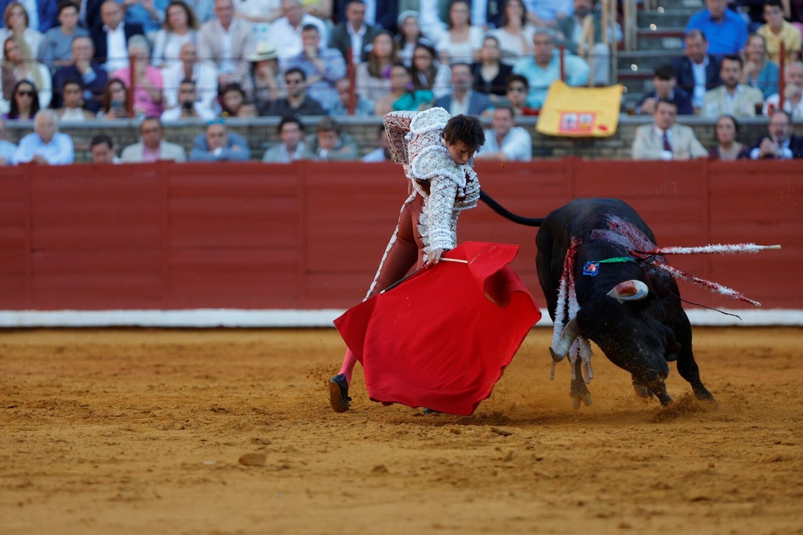Las mejores fotos de la corrida de Morante, Ortega y Roca Rey en la Feria Taurina de Córdoba