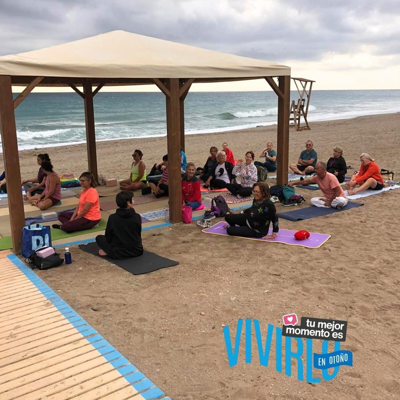 El perfil de los participantes es mayoritariamente femenino