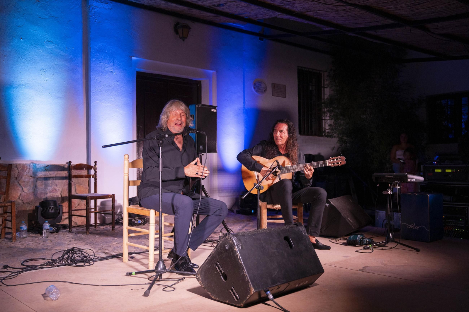 Las mejores imágenes del Festival de Flamenco en Fondón