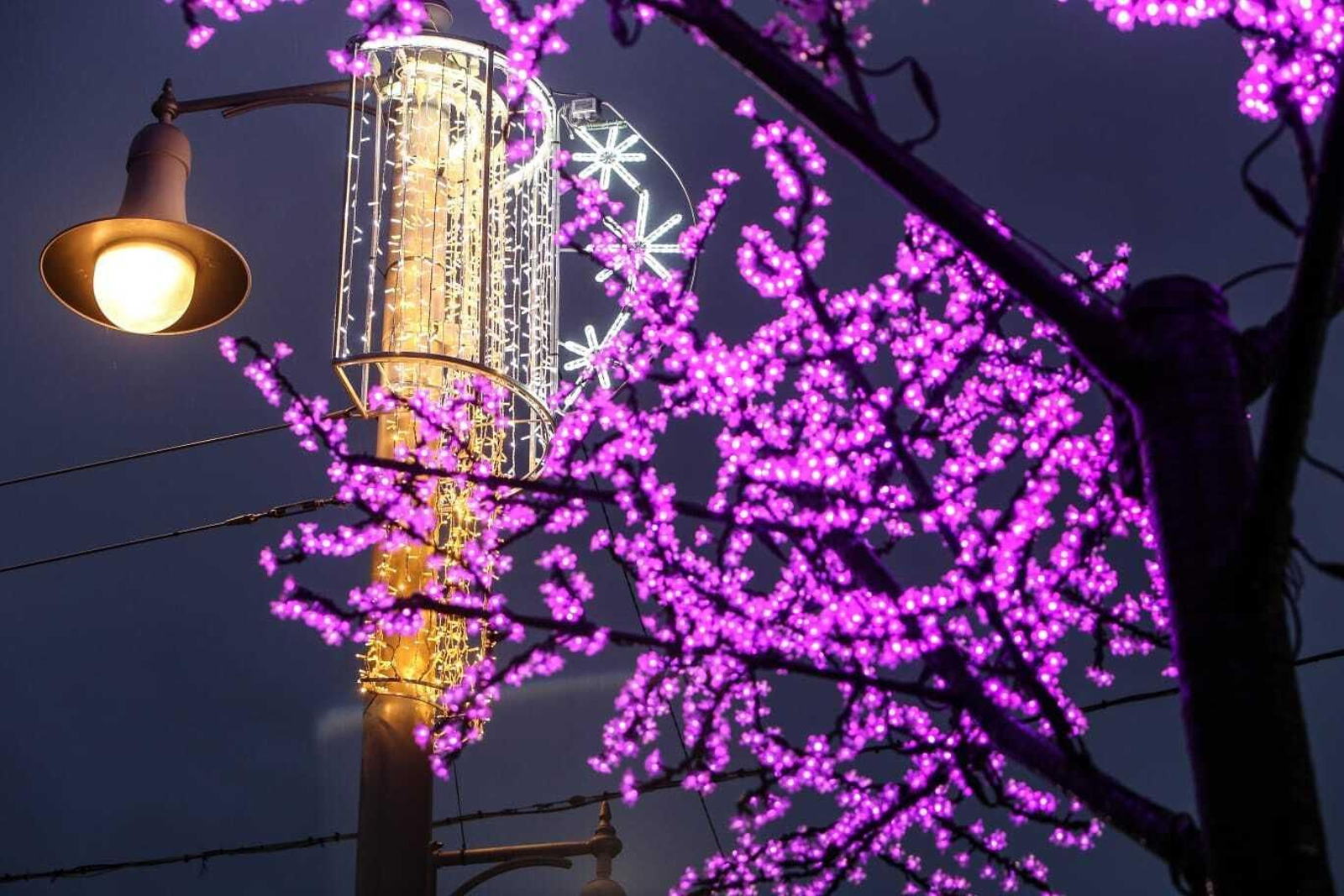 Alumbrado de Navidad en San Fernando