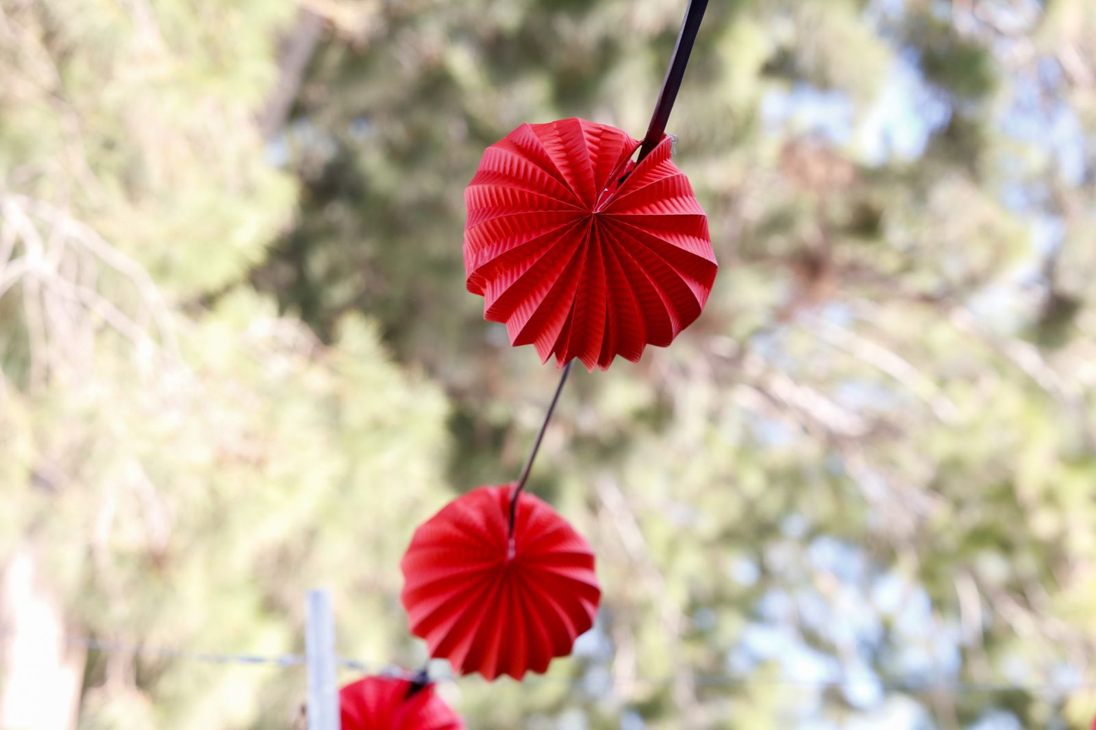 Búscate en la fotos del viernes en la feria de Los Barrios