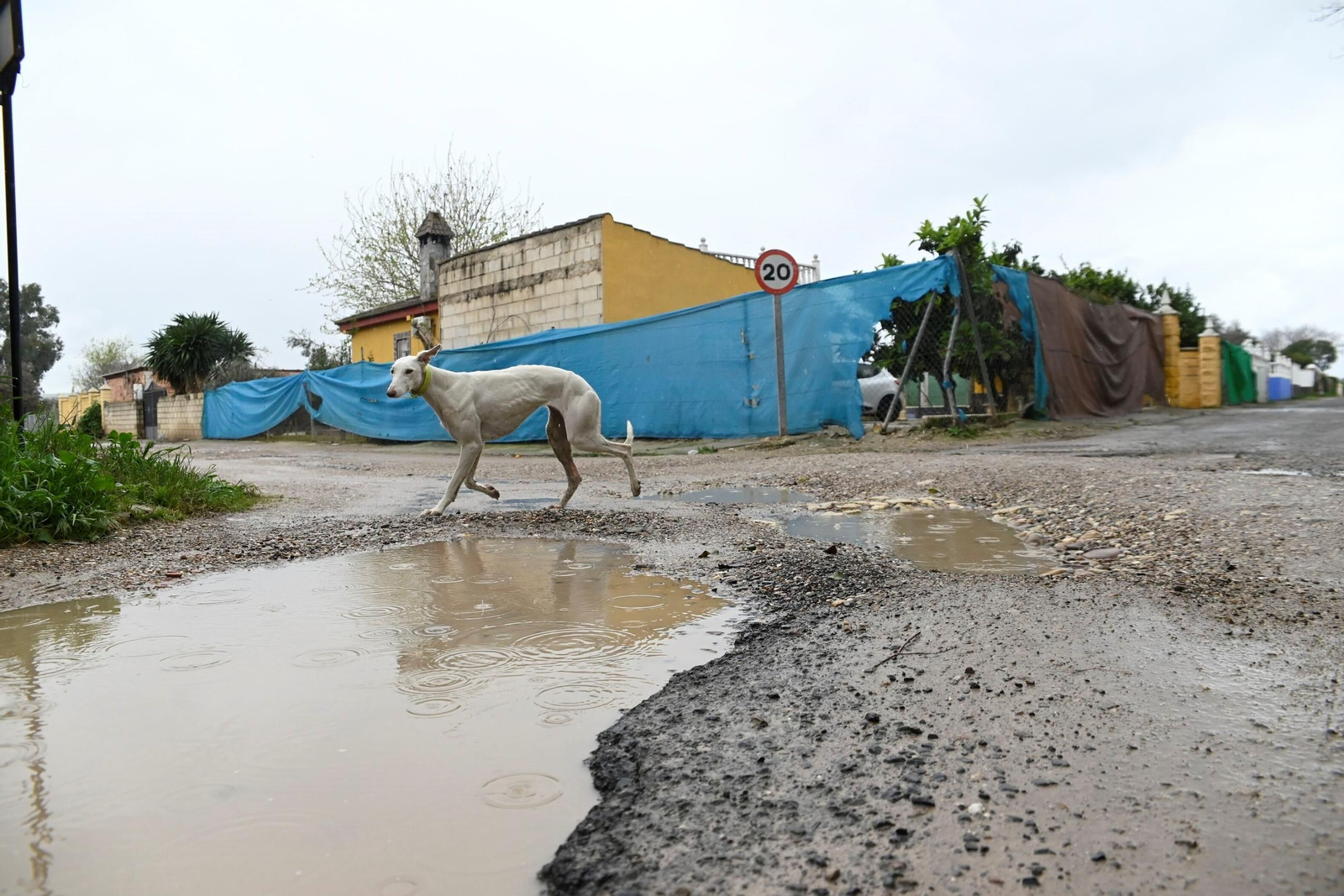 La parcelación de Guadalvalle tras el paso del temporal