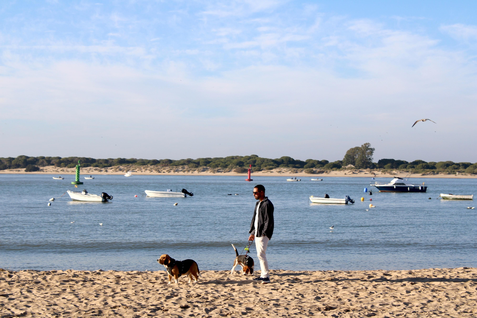 Paseo marítimo de Bajo Guía en enero de 2024: 'Abarrotao'