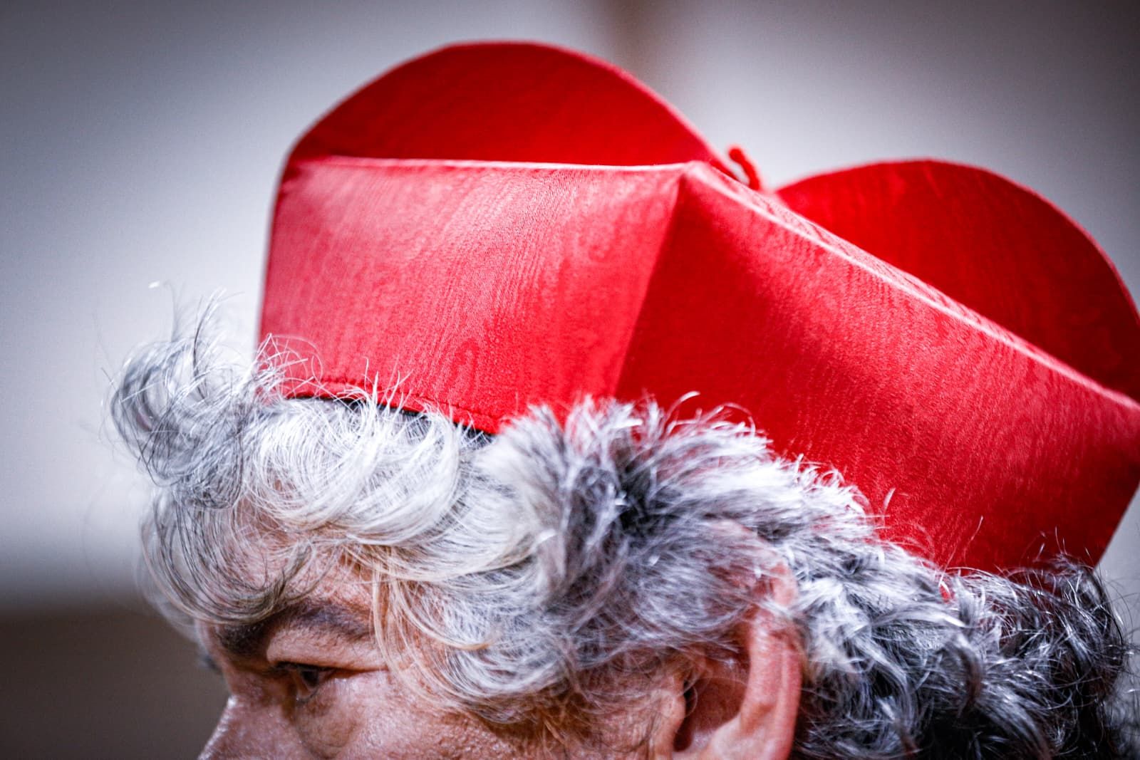 Búscate entre las mejores imágenes de la décimo cuarta sesión de preliminares del COAC 2026