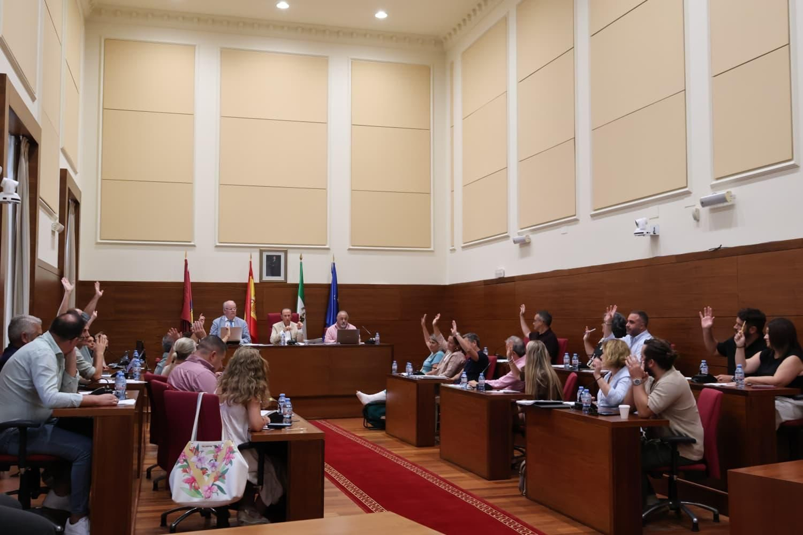 Un momento de esta sesión plenaria.