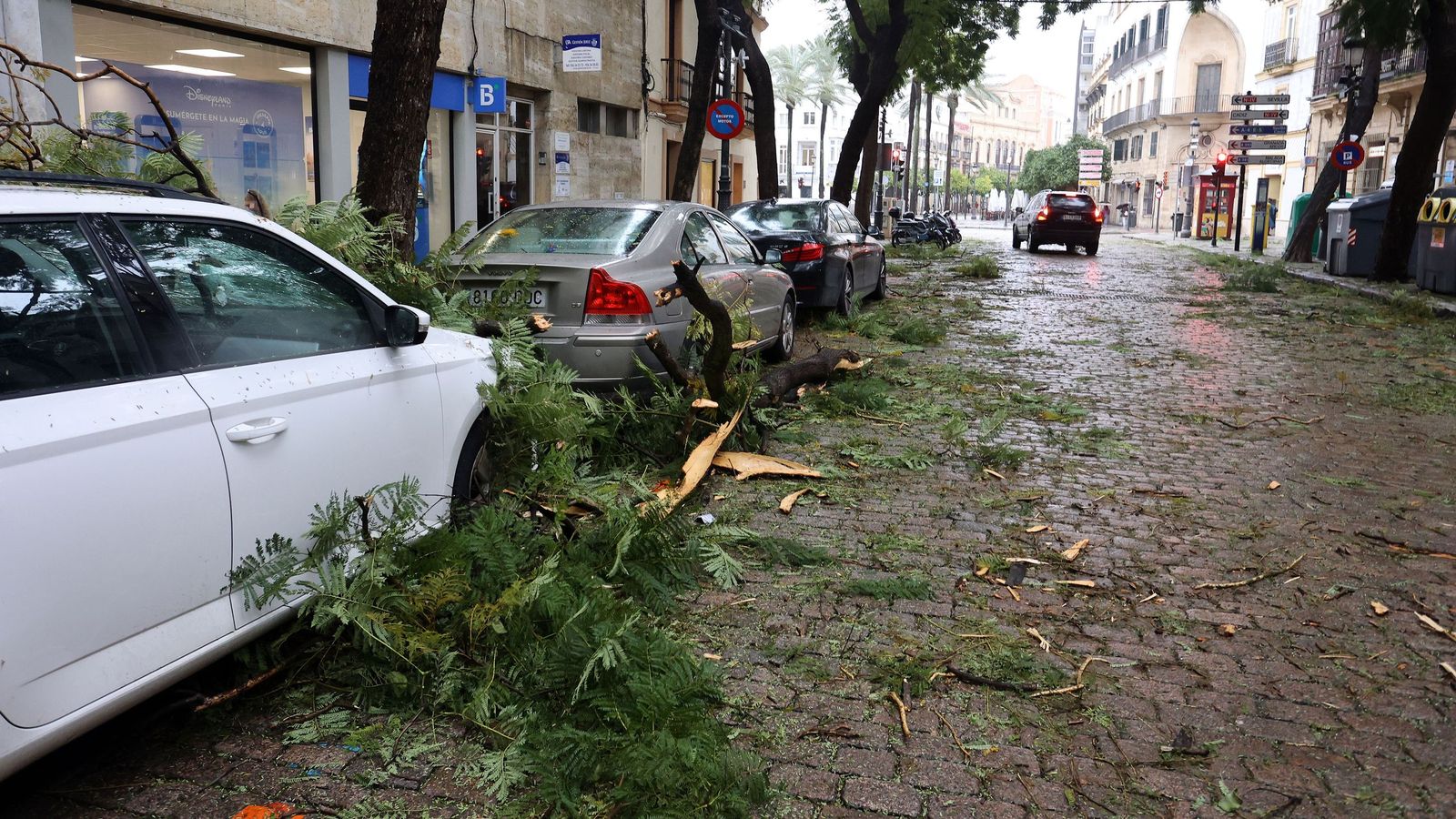 Imágenes del paso de la borrasca Kristin por el centro de Jerez