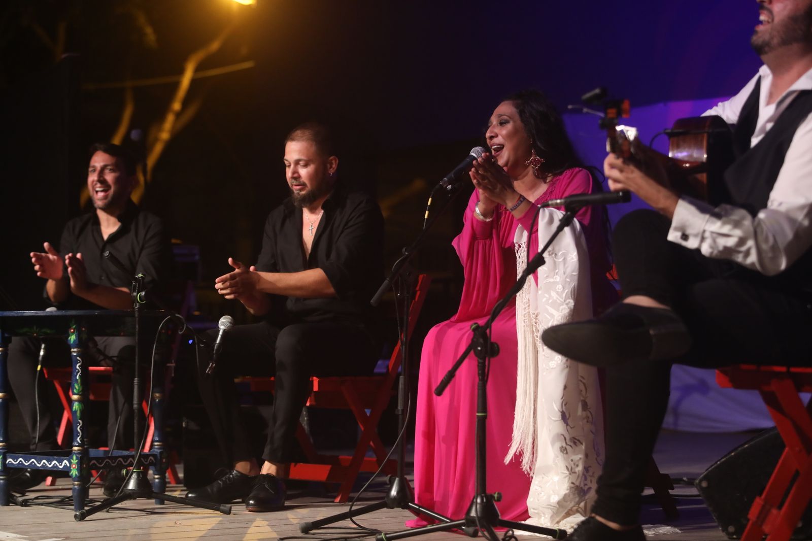 La noche flamenca en el Parque de San Fernando, en imágenes