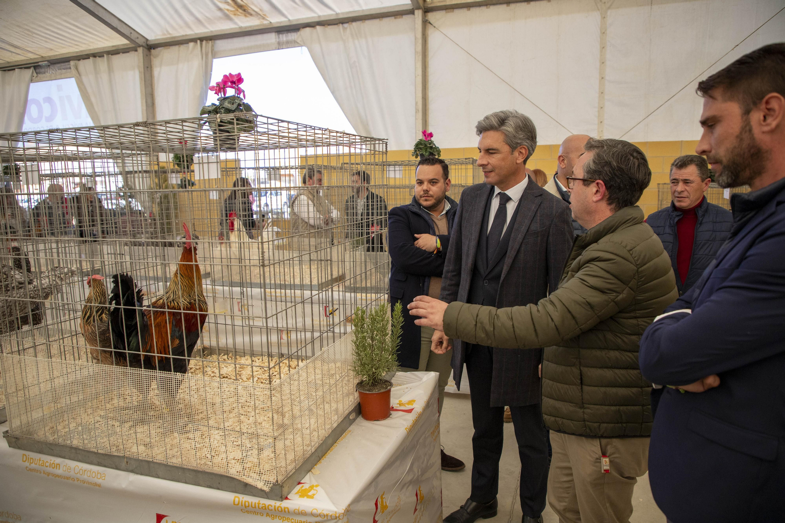 Un paseo en fotografías por Avicor, la Feria Avícola de Córdoba