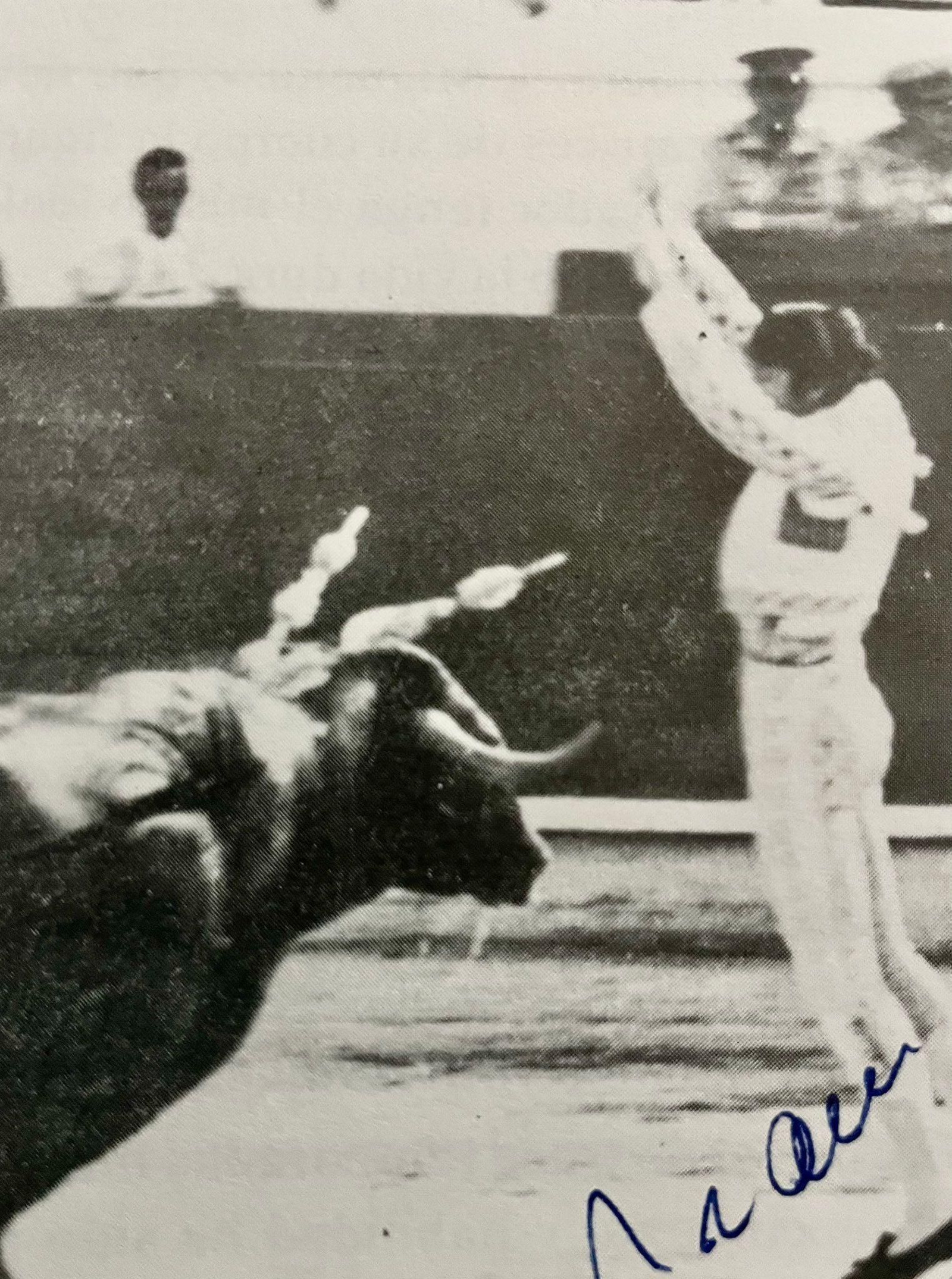 Antoñico, en un par de banderillas.