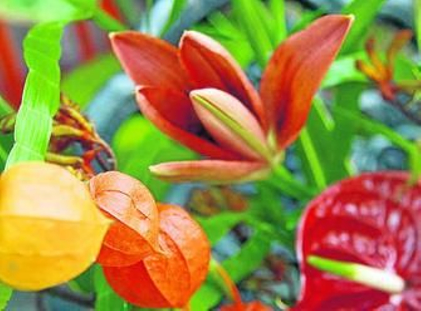 María Ortega fundó el negocio hace casi veinte años.