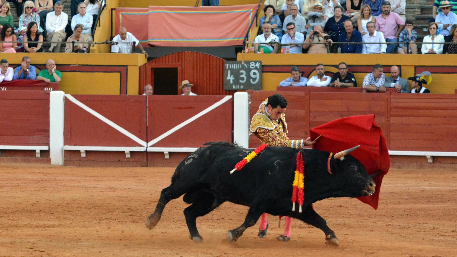 Primera de abono de la Feria de Algeciras en imagenes
