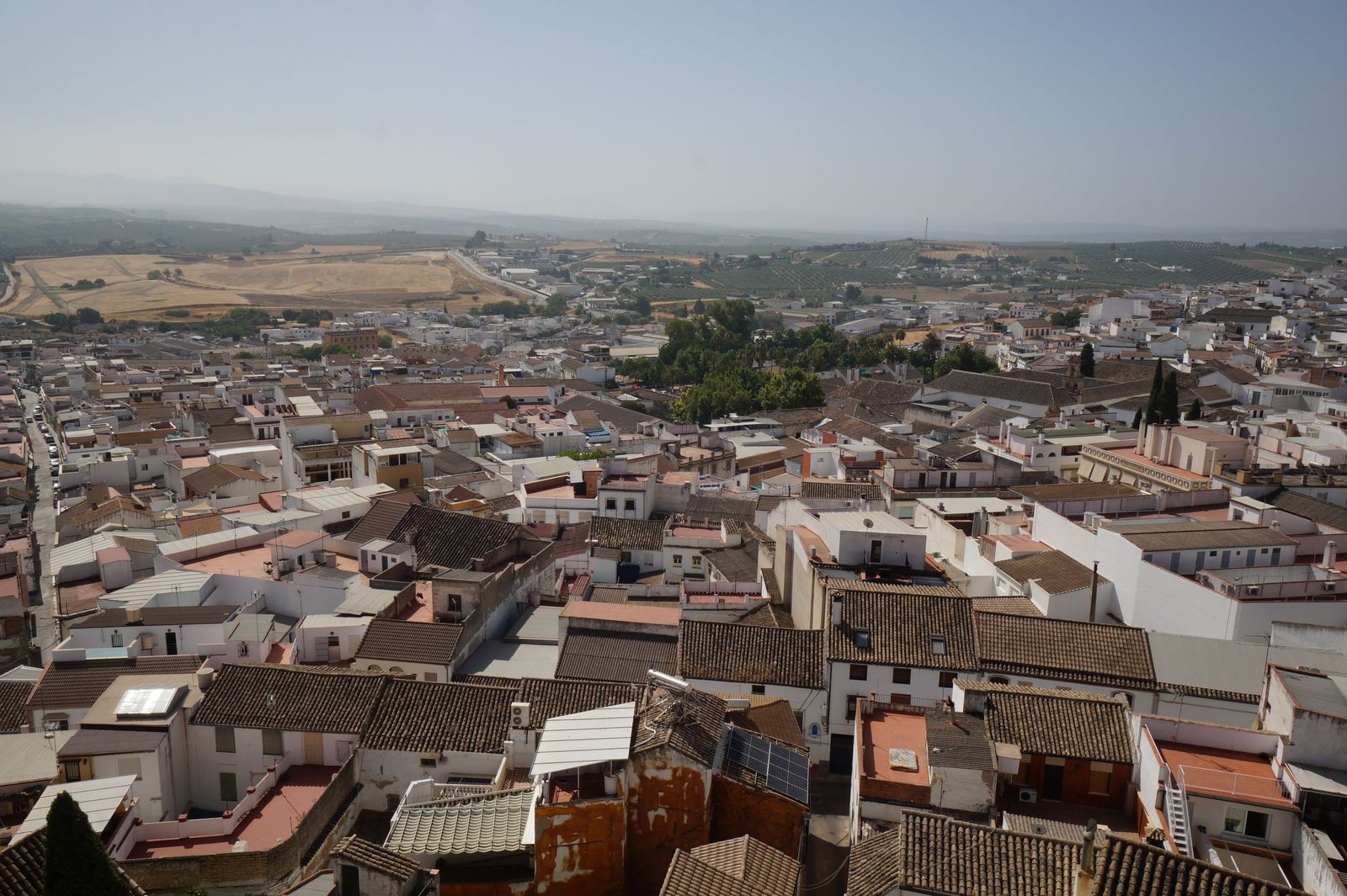 Vista de Montilla desde la torre de la parroquia de Santiago.