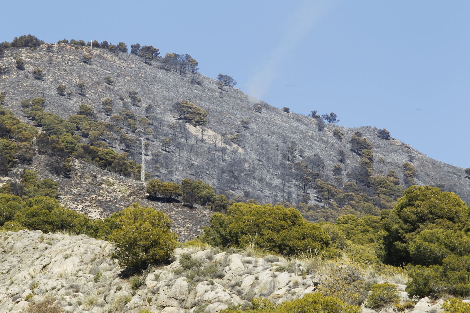 Fotogalería incendio forestal de Castala, Berja y Dalías.