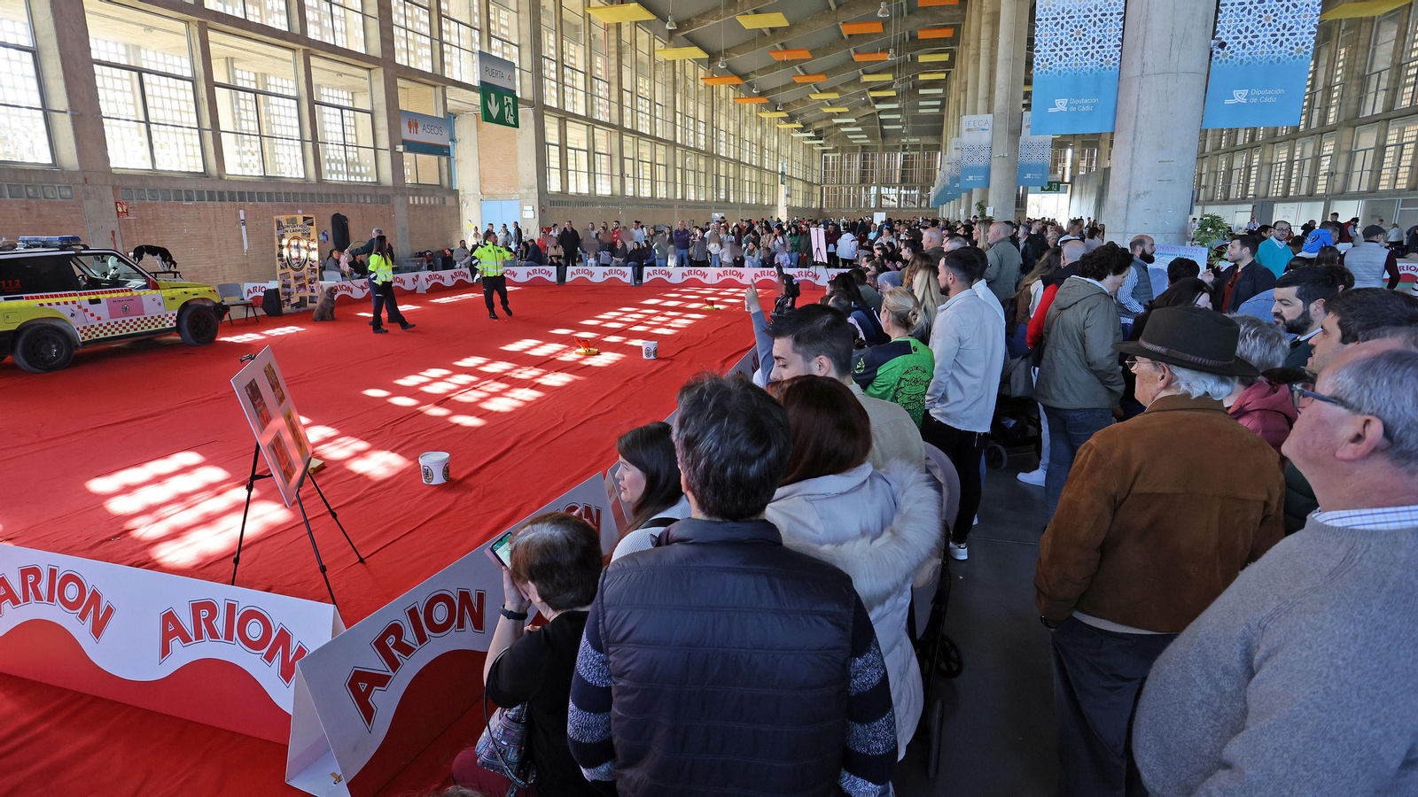 Imágenes de la 49ª edición de la Exposición Nacional Canina y la 25ª edición de la Exposición Internacional Canina en IFECA Jerez