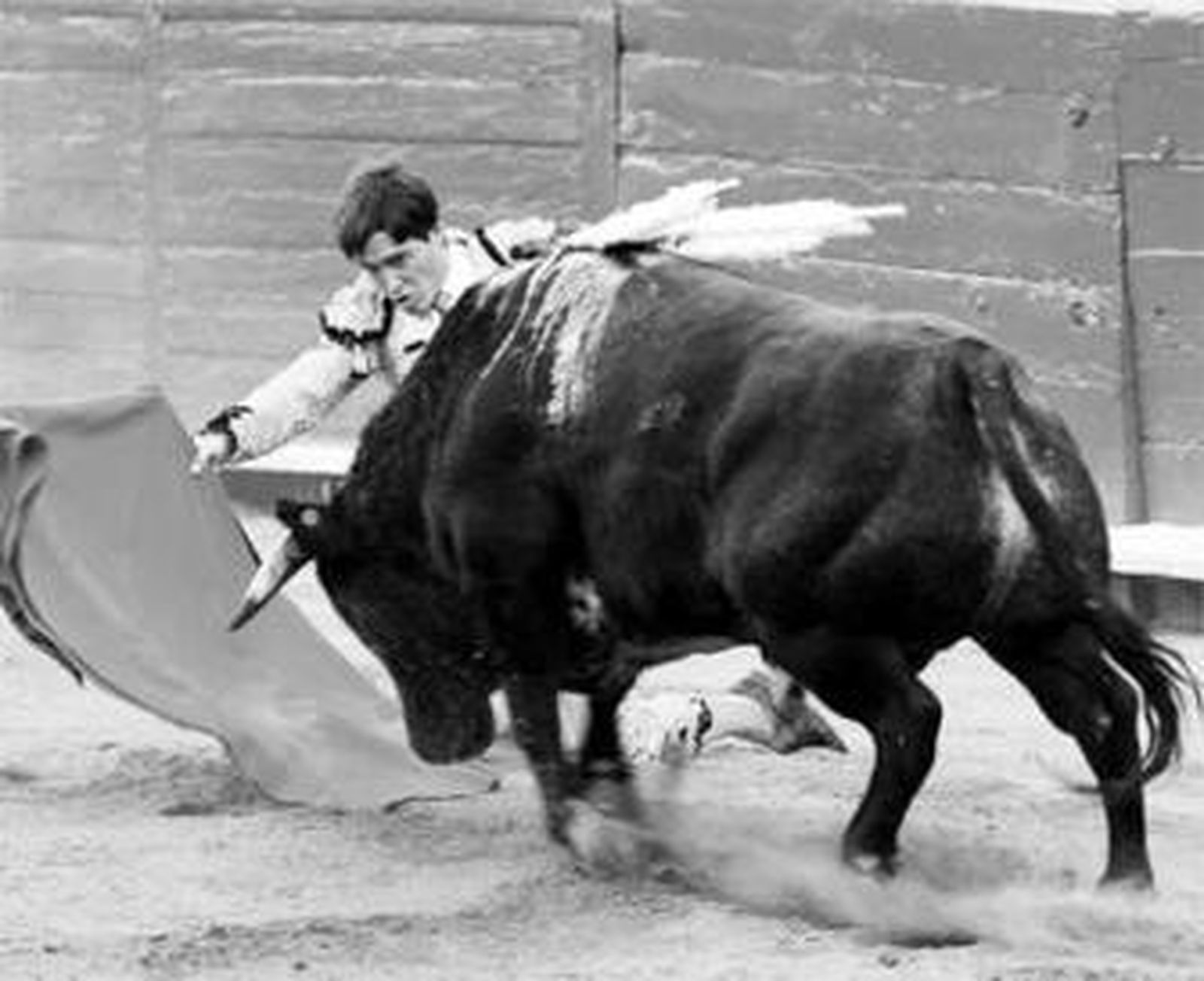 Antonio Barrera, en un muletazo de rodillas a su primer toro.