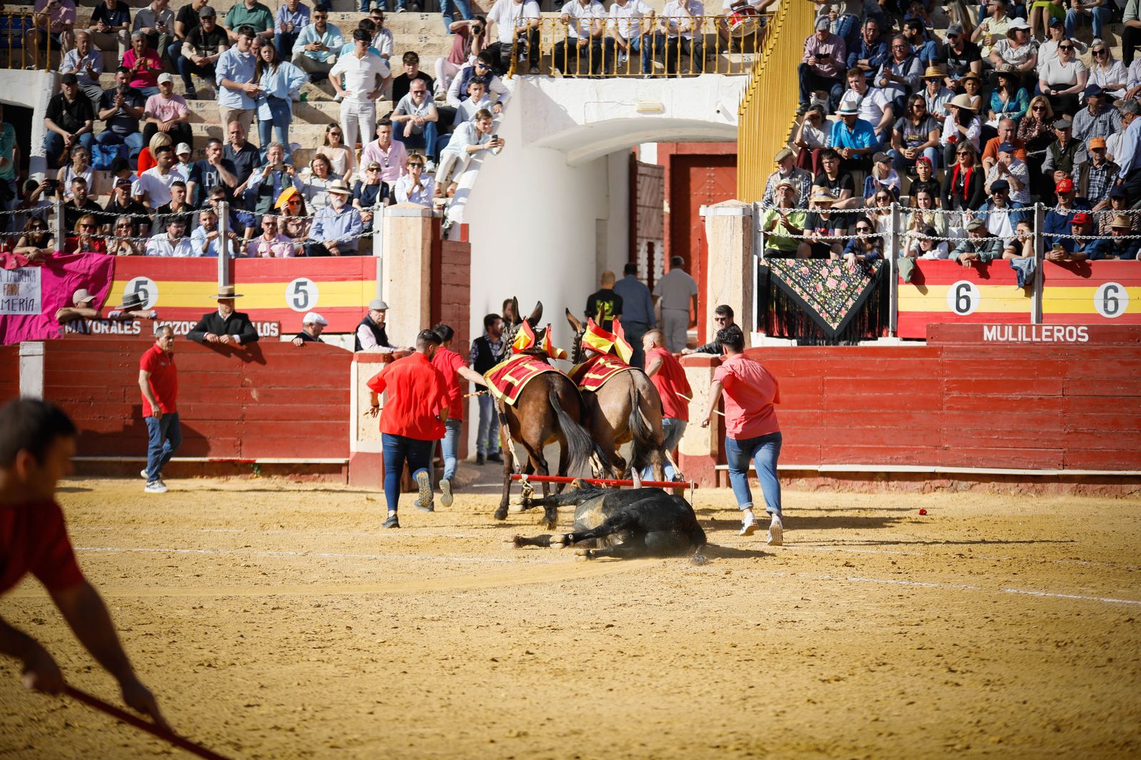 Imágenes del festival mixto lucha contra el cáncer