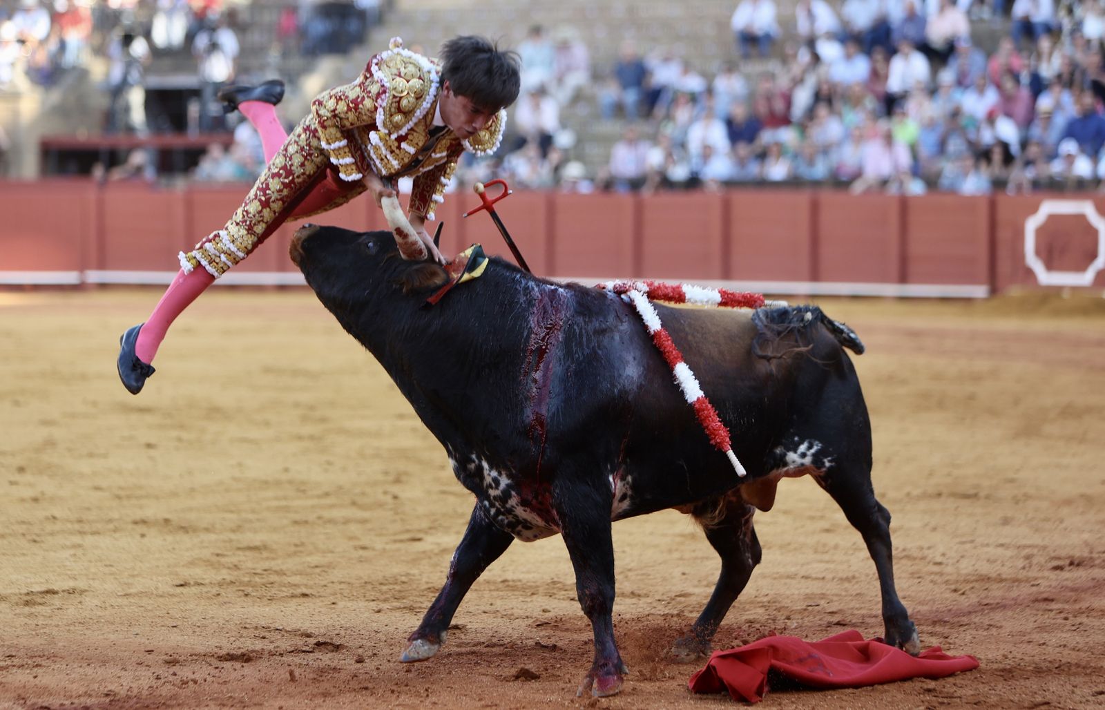 Momento en el que el novillo de Villamarta cornea a Marcos Linares cuando entraba a matar.