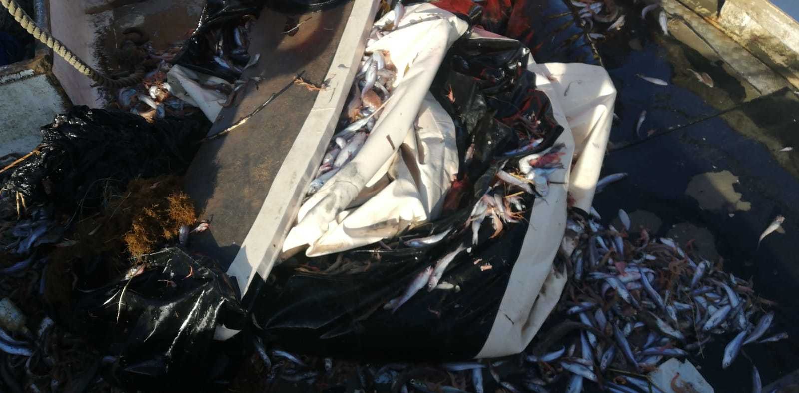 Una neumática 'pescada' en el mar