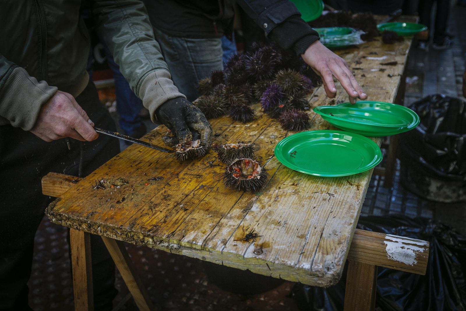 Las imágenes de la Ostioná y Erizá