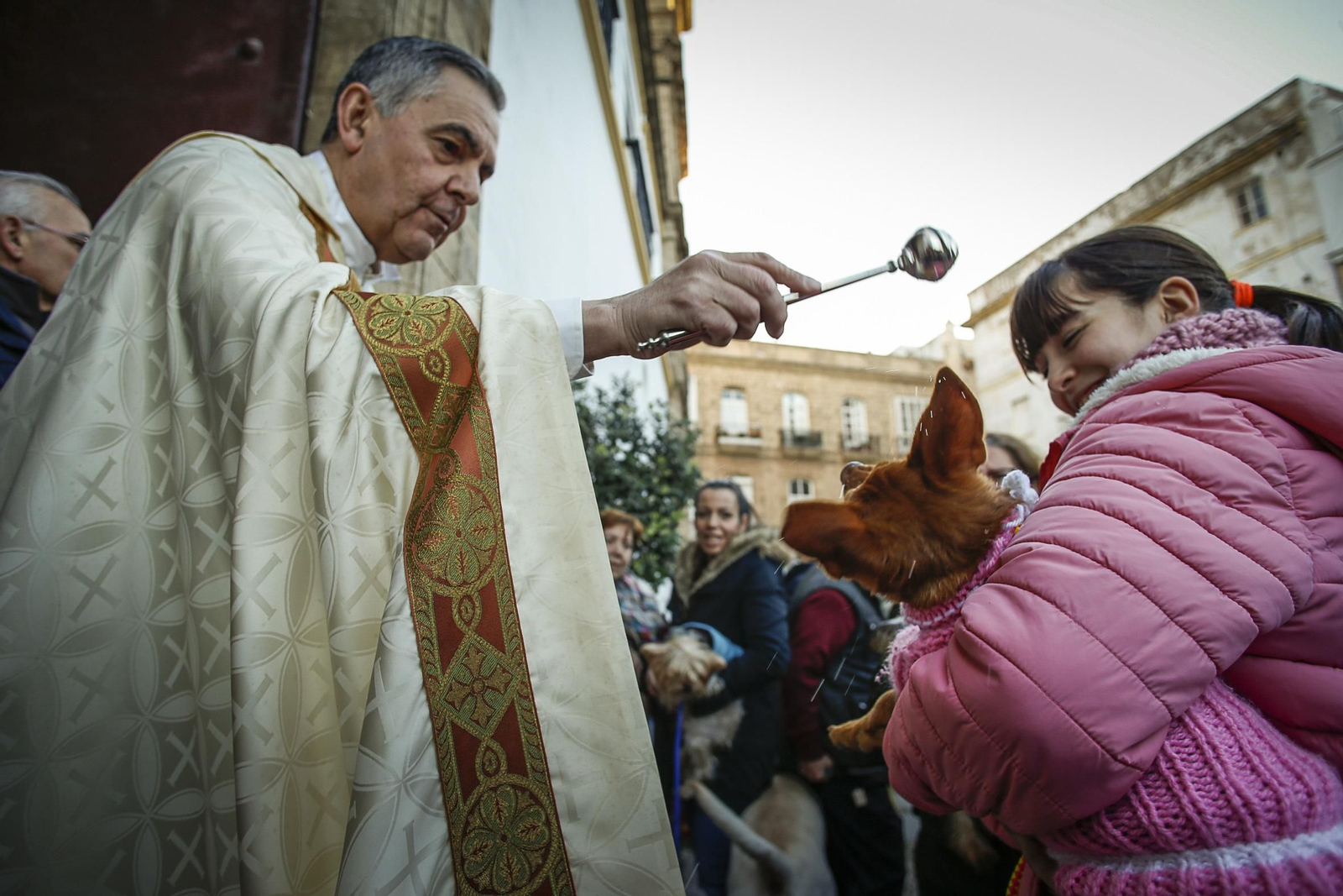 Bendición de animales en Santo Domingo