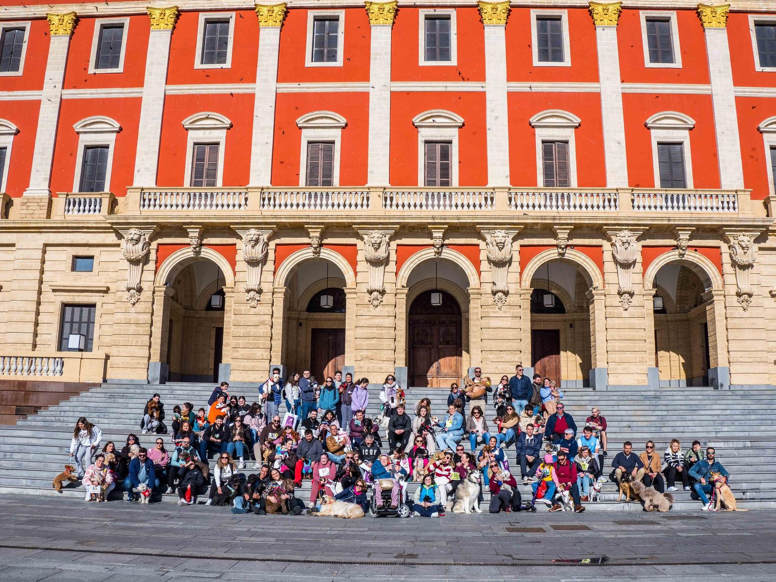 Las imágenes de San Antón 2025 en San Fernando