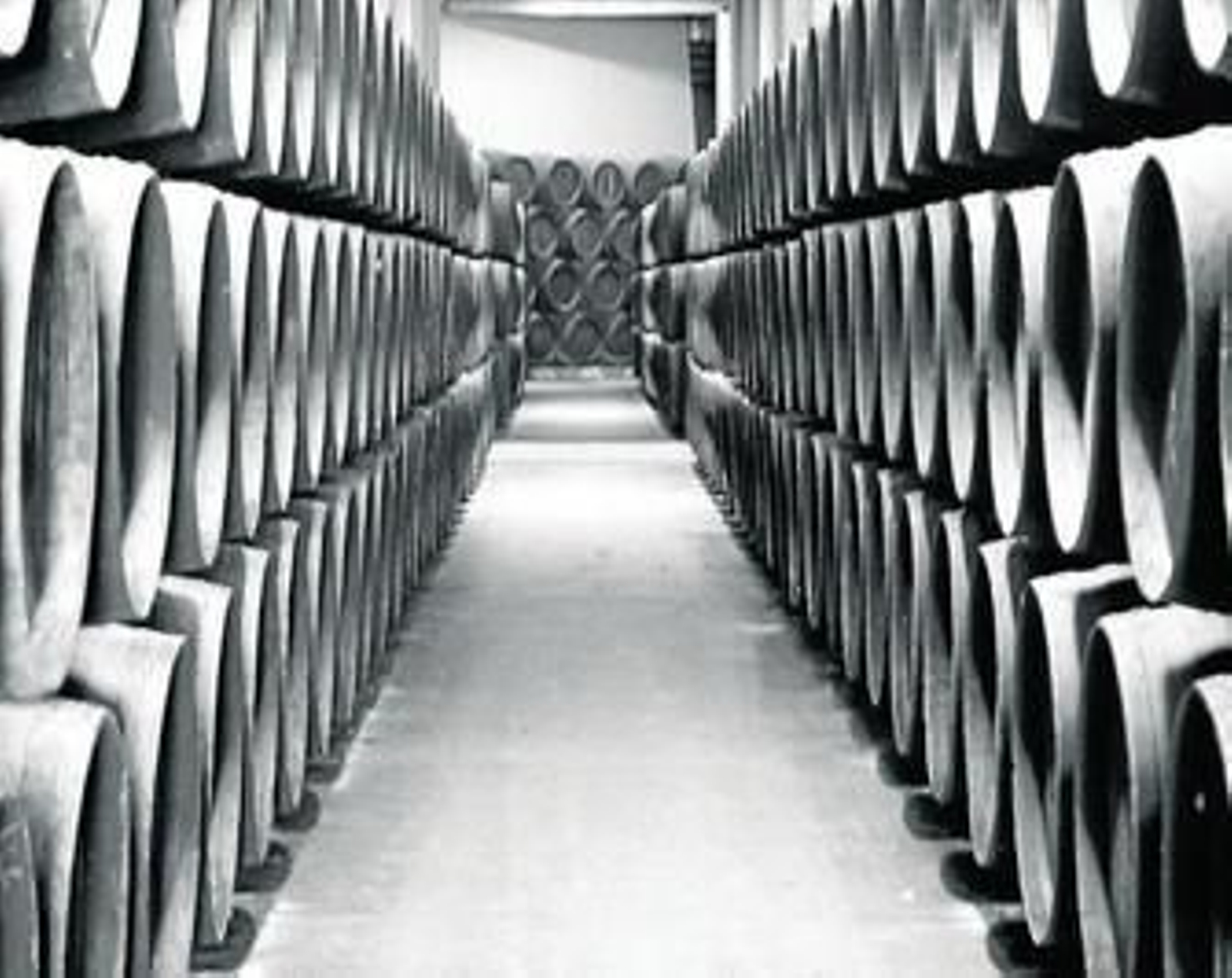 Andanas de botas dispuestas por el tradicional sistema de crianza en una bodega del Marco de Jerez. Andanas de botas dispuestas por el tradicional sistema de crianza en una bodega del Marco de Jerez.